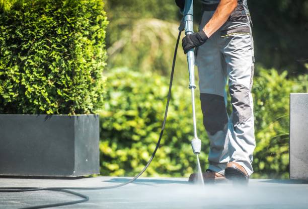 Best Roof Cleaning and Mildew Removal in Houston, TX